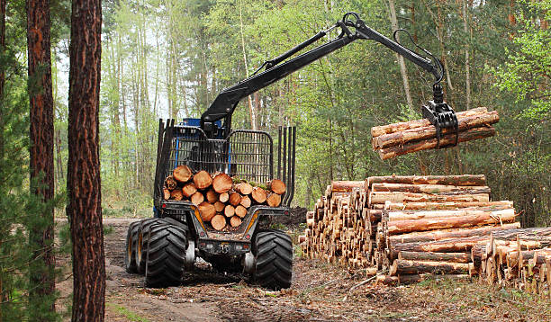 Forestry & Logging