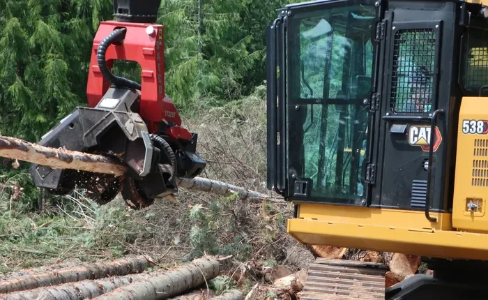 Forestry Caterpillar