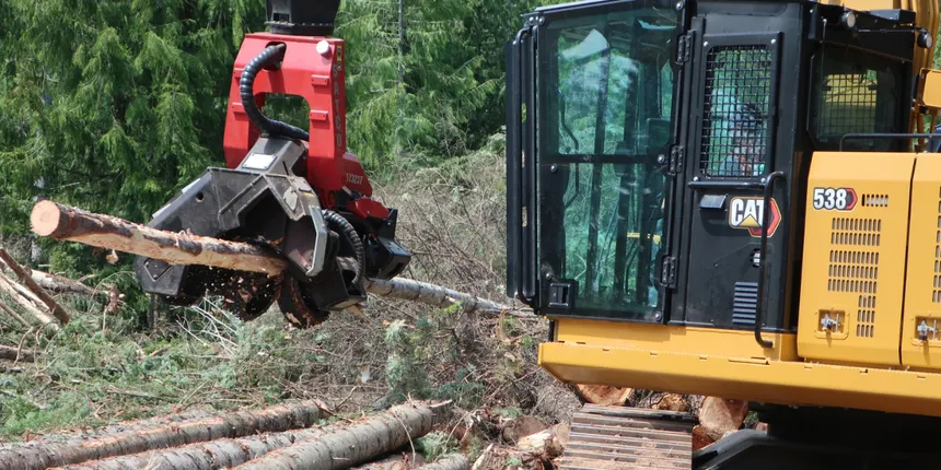 Forestry Caterpillar